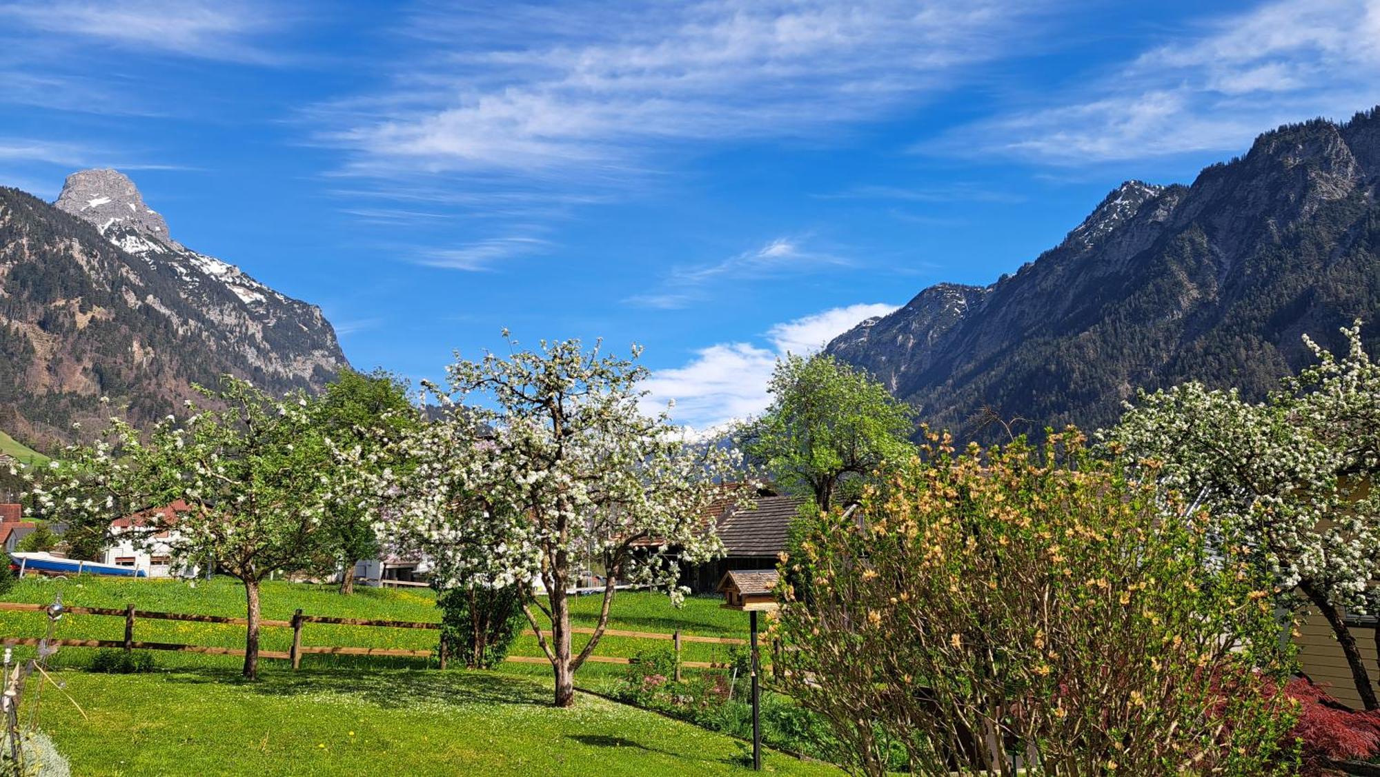Baers Mountain Stay Ausserbraz Innerbraz Exteriör bild