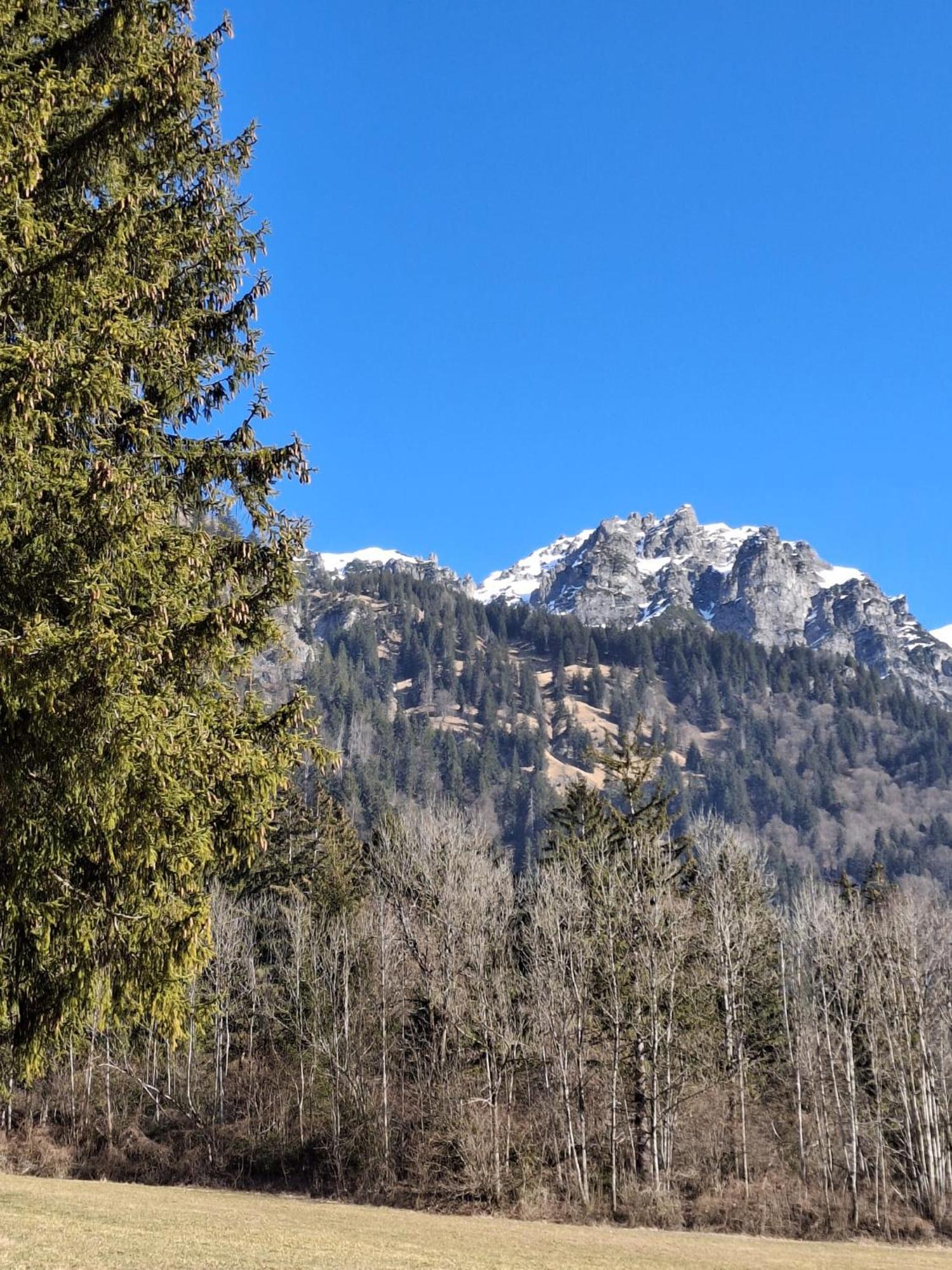 Baers Mountain Stay Ausserbraz Innerbraz Exteriör bild