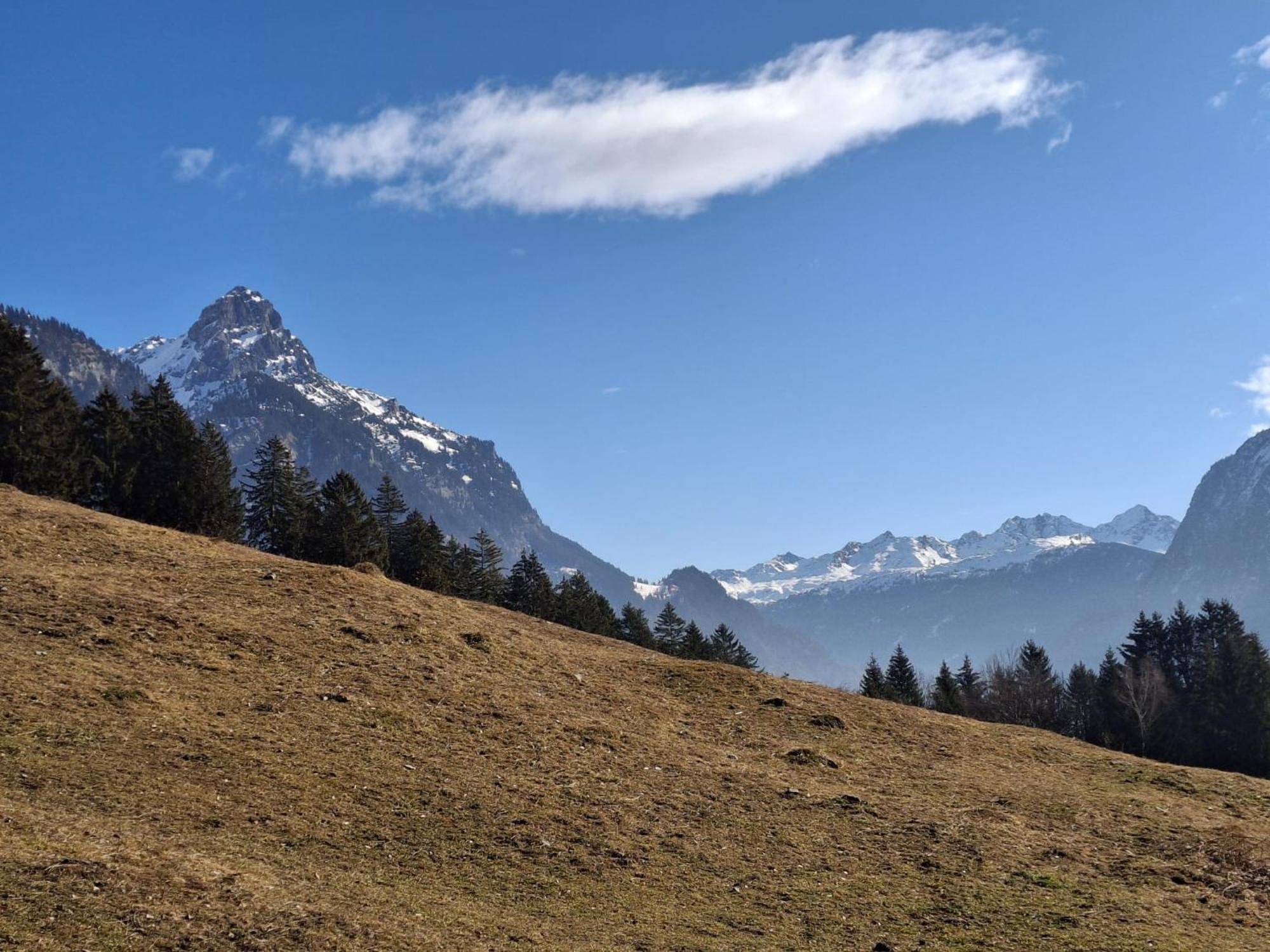 Baers Mountain Stay Ausserbraz Innerbraz Exteriör bild
